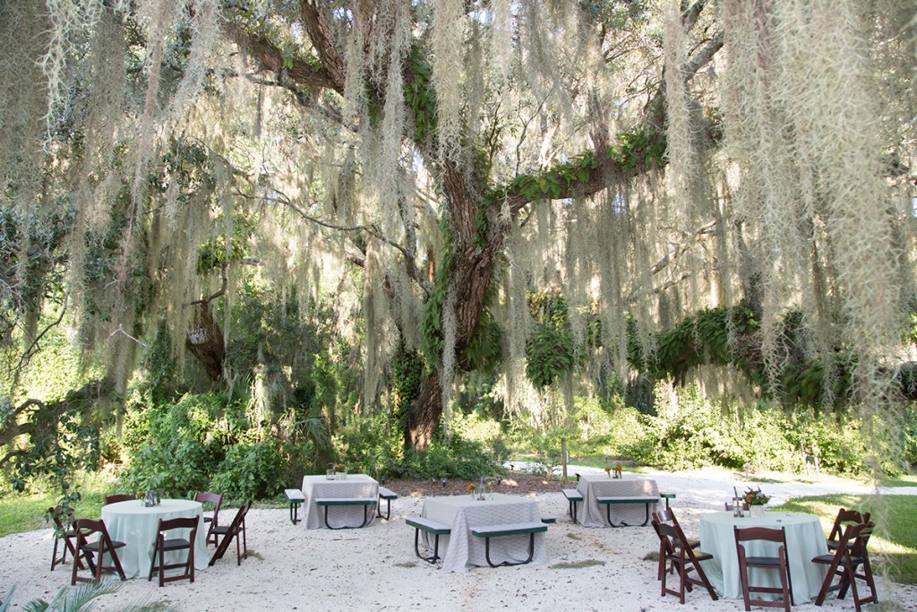 Honey Horn Plantation Wedding